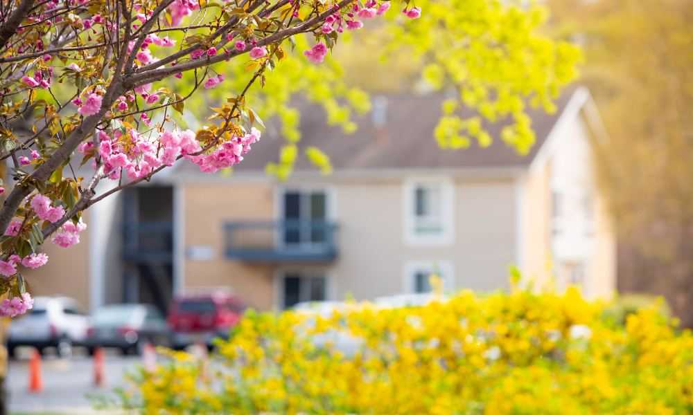 Best Top 4 Spring Home Improvement Tips