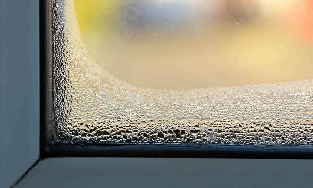 Winter Condensation Problems: Best Solutions