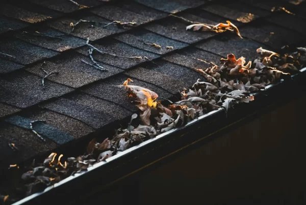 A gutter full of leaves, an important reason why you need to know how to clean and maintain your gutters