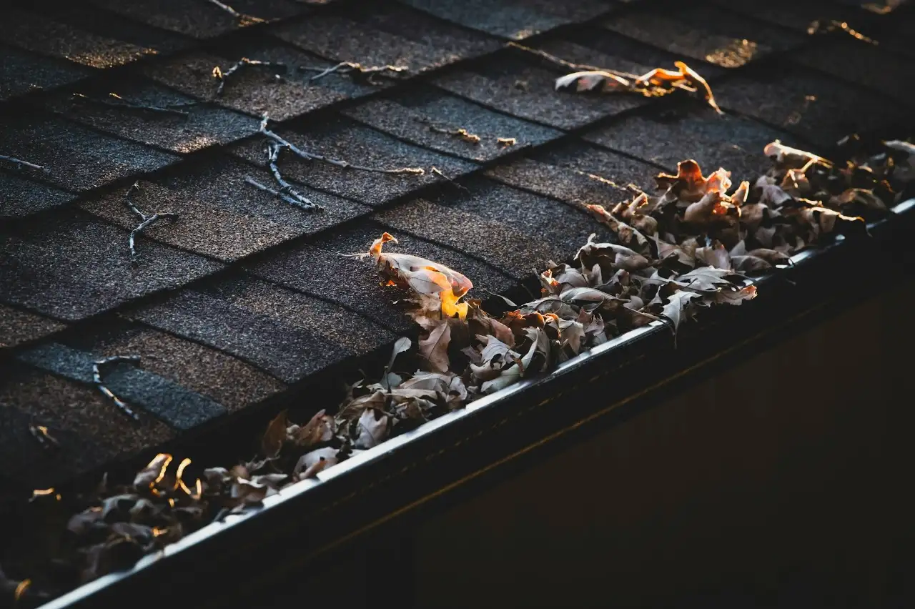 How to Clean and Maintain Your Gutters